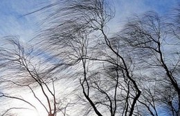 В Московской области в период  ожидается усиление
ветра южной четверти, местами с порывами 15-20 м/с
